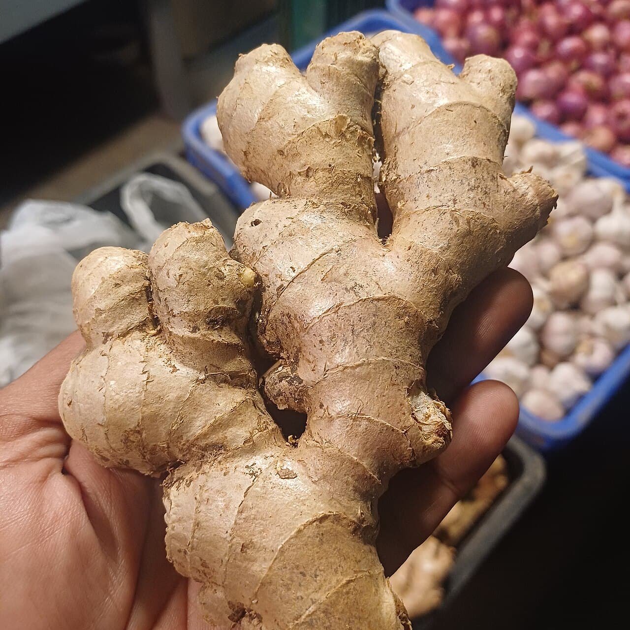 Gingembre frais — 1 kg
